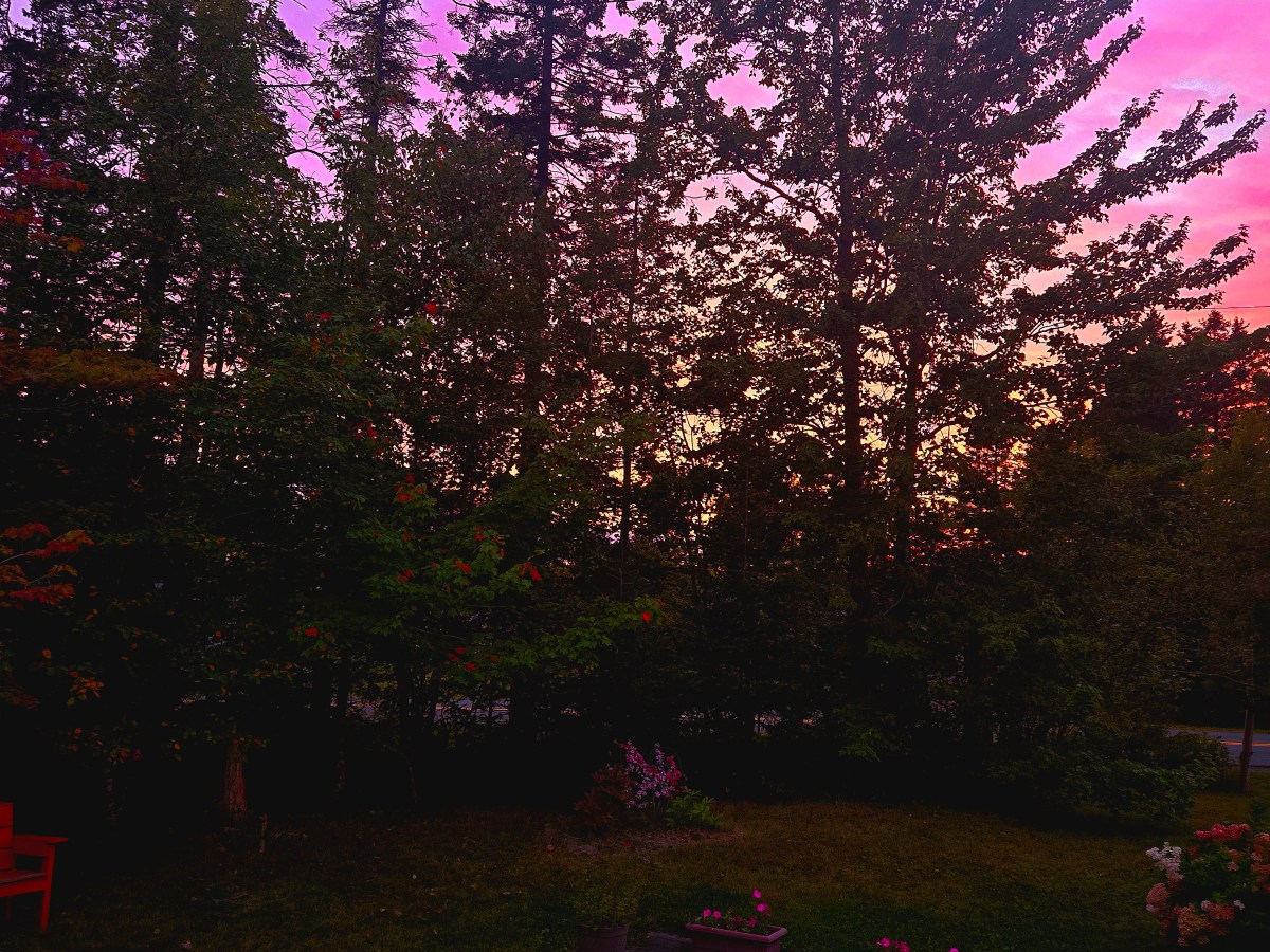 Goodbye and good luck, Mary&nbsp;Farrell